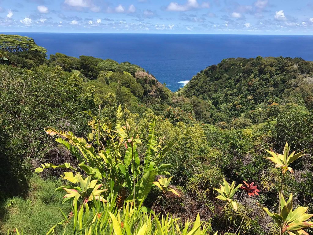 Vegetație tropicală și dealuri cu oceanul în fundal
