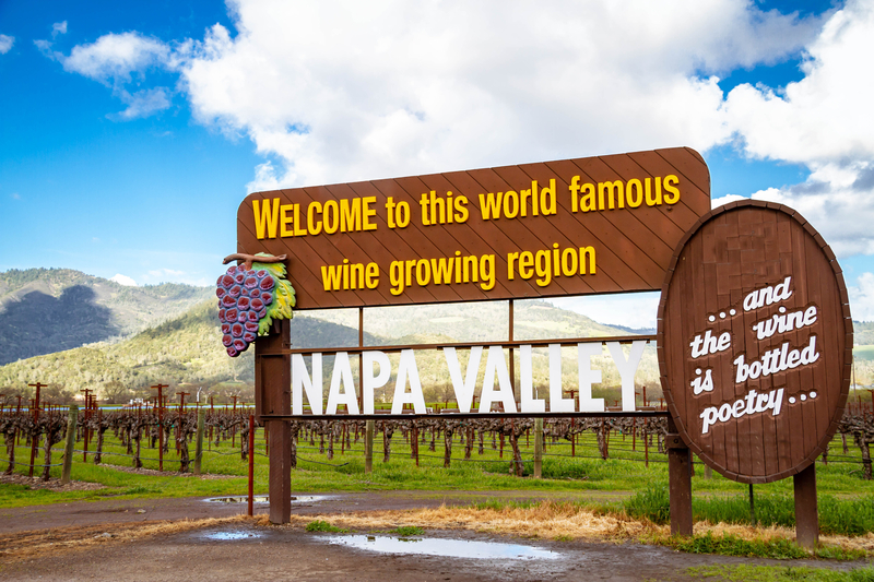 Panou Napa Valley, în fața unor rânduri de viță