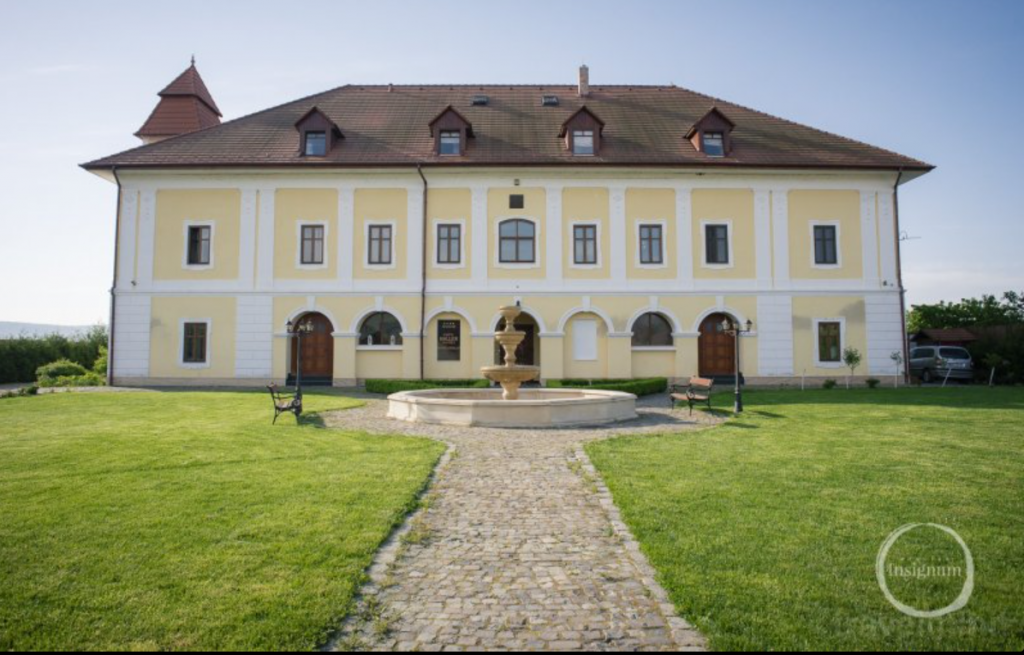 Clădire simetrică galbenă în fața unei peluze cu alee.