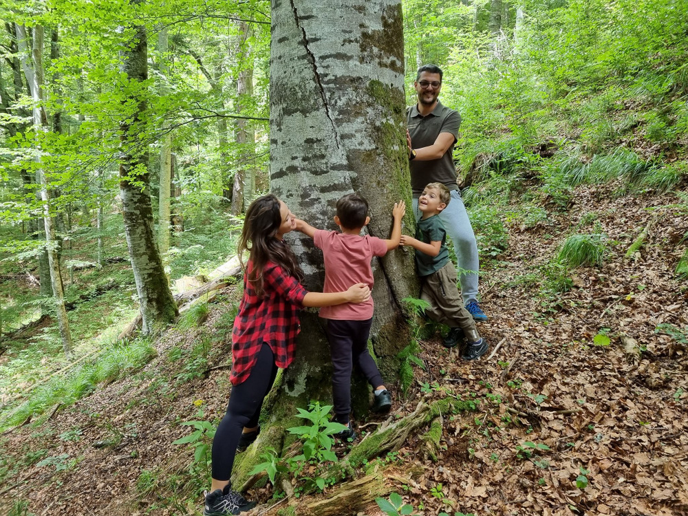 Copii și adulți adunați în jurul trunchiului unui copac din pădure.