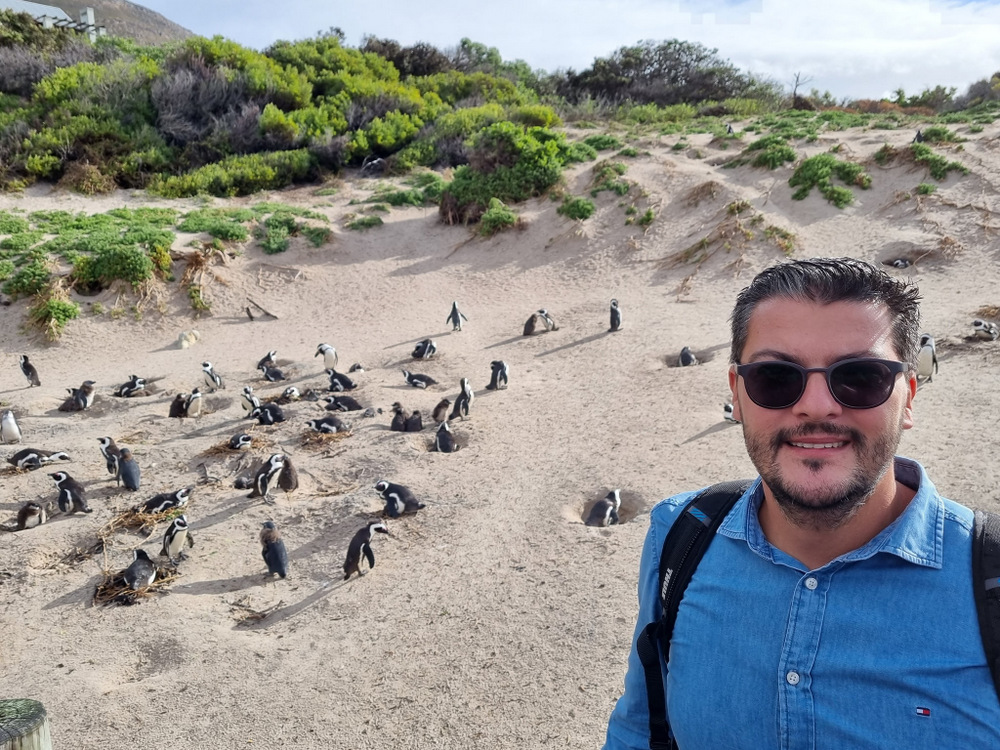 Bărbat cu ochelari de soare lângă o colonie de pinguini.