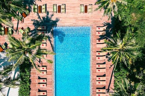 Piscină dreptunghiulară văzută de sus, înconjurată de șezlonguri și palmieri.