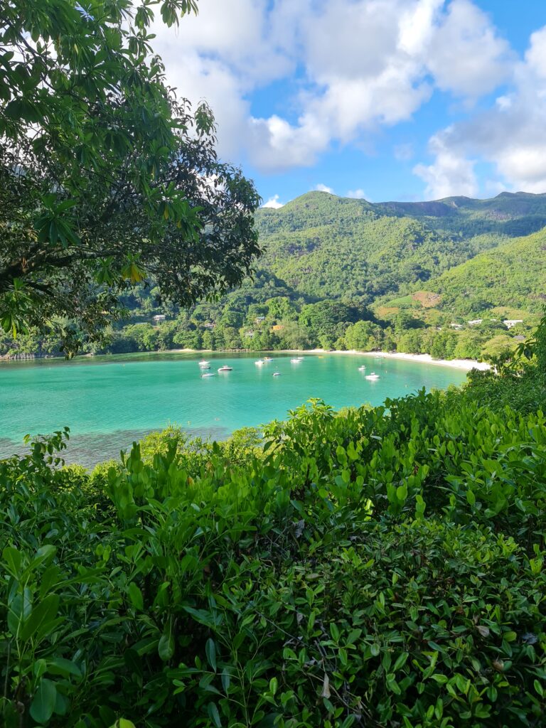 Piscină într-o grădină tropicală, cu mare în fundal