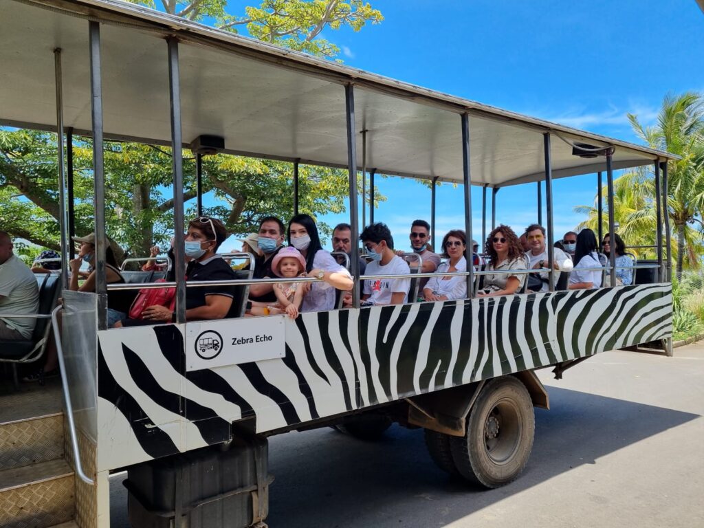 Grup de turiști într-un vehicul deschis, decorat cu dungi de zebră.