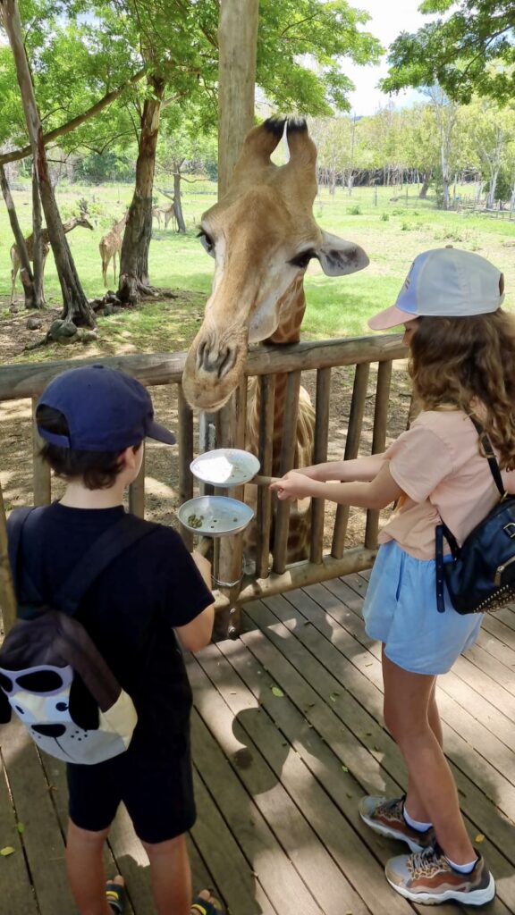Copii pe o platformă din lemn, privind spre o girafă.