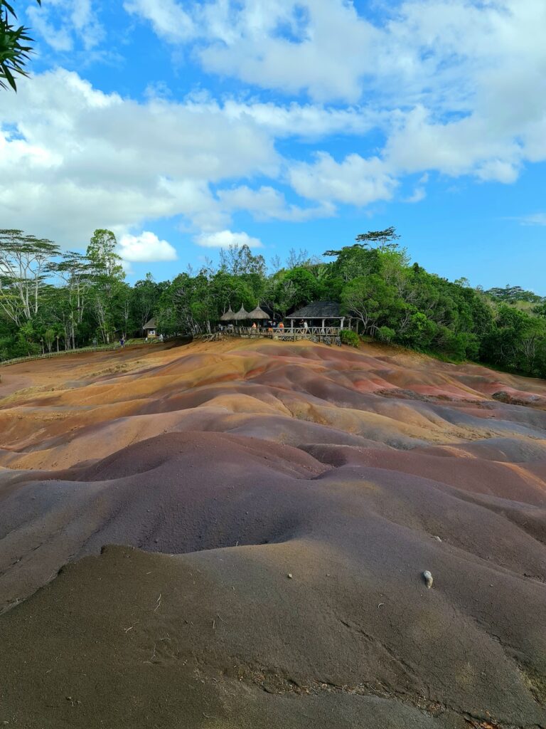 Dune joase în nuanțe de ocru și violet, lângă vegetație.
