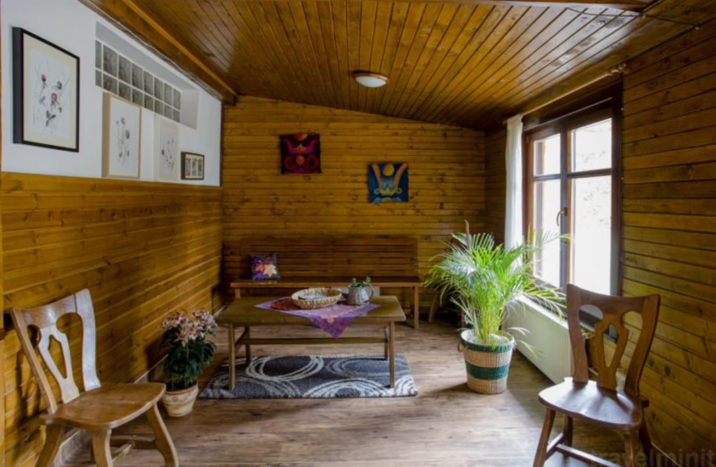 Salon cu pereți din lemn, canapea, fotolii și plante în ghivece.