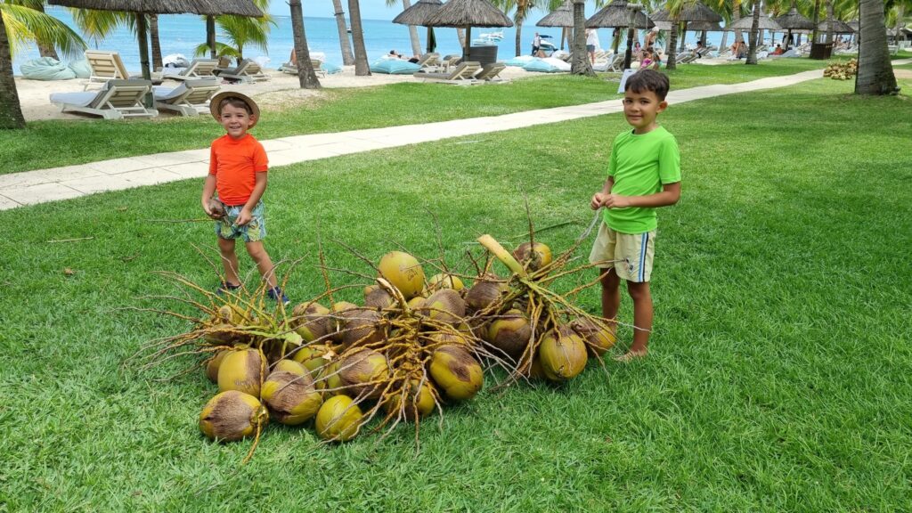 Doi copii lângă o grămadă de nuci de cocos, pe gazon.