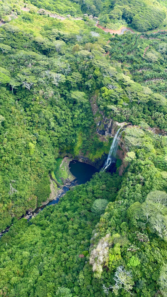 Râu printre arbori tropicali, văzut de sus