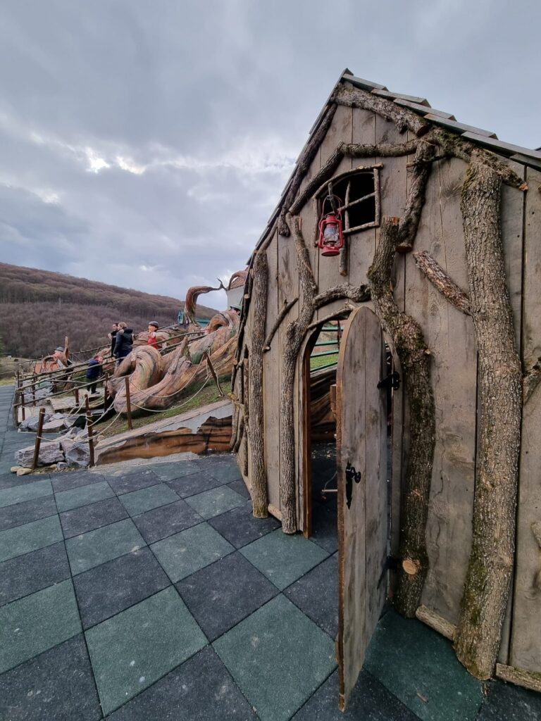 Ușă rustică înconjurată de decorațiuni sculptate în lemn
