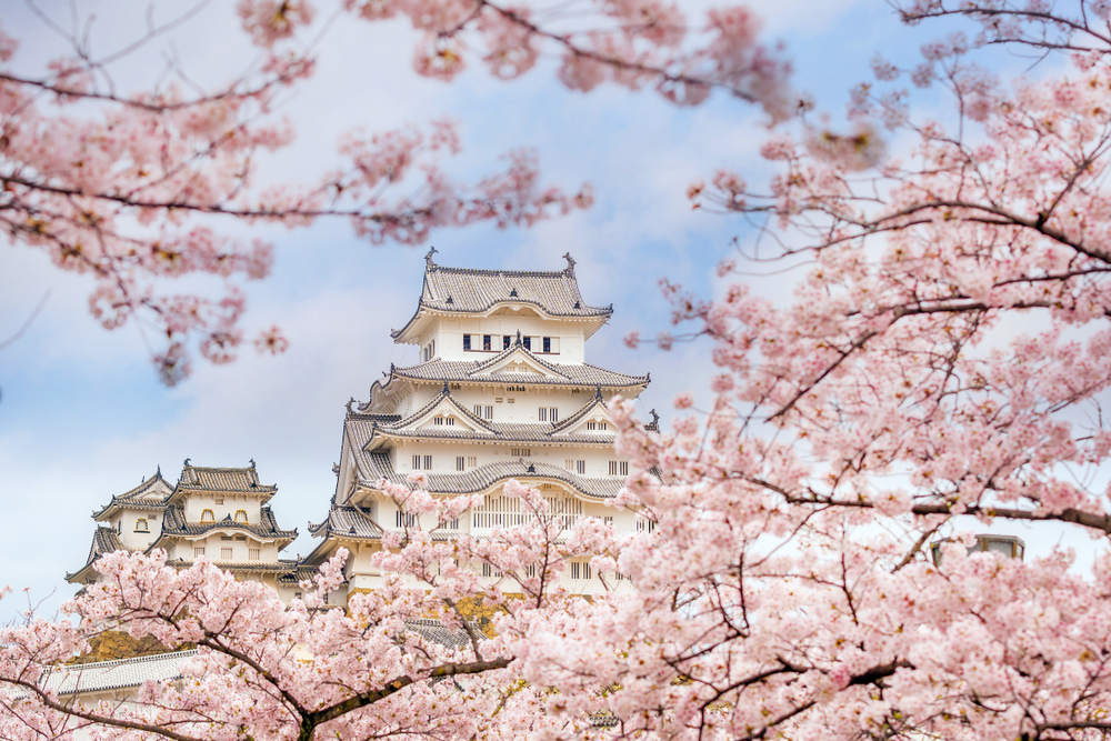 Castelul Himeji, dincolo de ramuri de cireș înflorit
