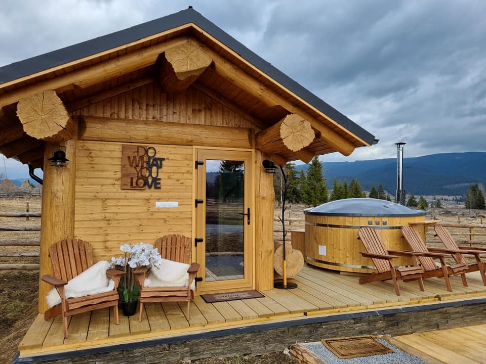 Chalet din lemn cu cadă exterioară și pajiște