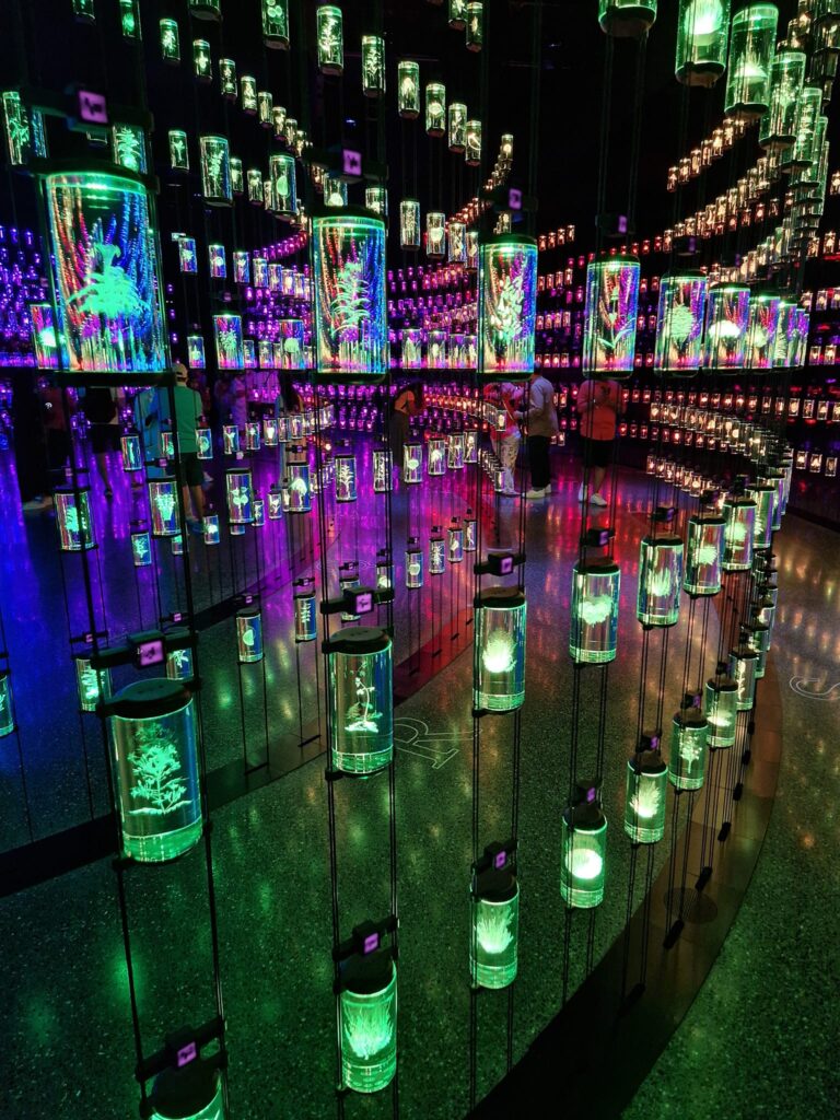Cilindri luminoși multicolori, aliniați într-un spațiu expozițional întunecat.