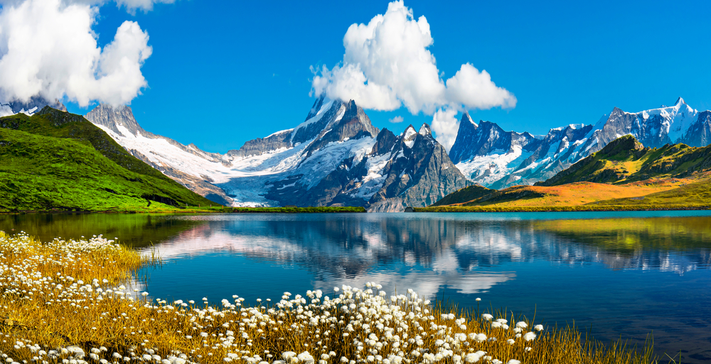 Lac alpin reflectând piscuri ascuțite, cu flori albe pe mal.