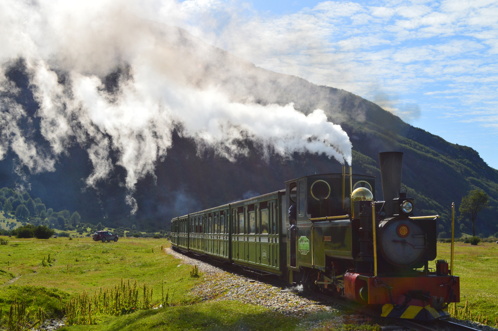 Locomotivă cu abur și vagoane, lângă pădure