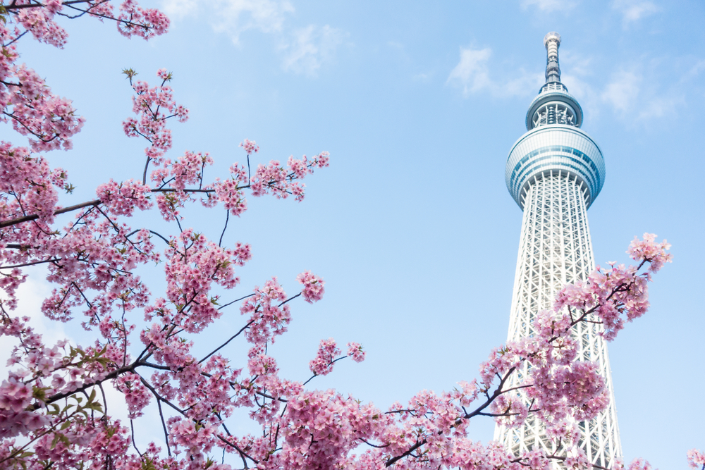 Turnul Tokyo Skytree, dincolo de ramuri înflorite