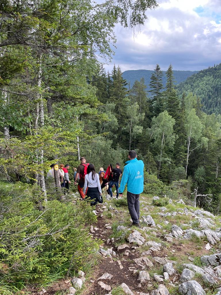 Drumeți pe o potecă pietroasă prin pădure, cu munți în fundal.