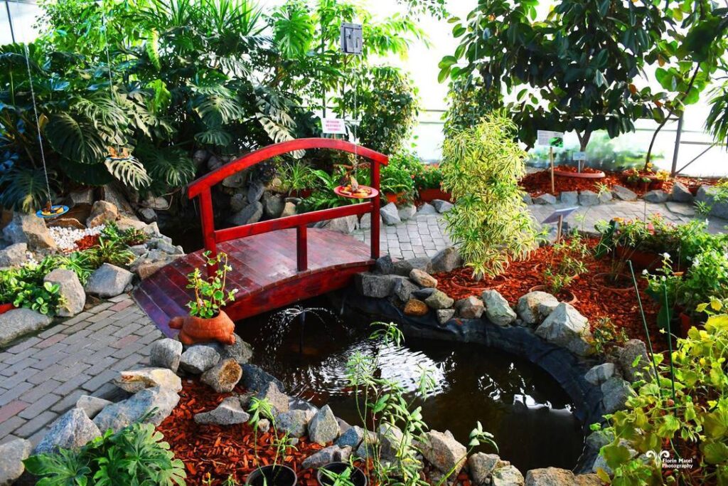 Grădina Botanică din orașul Galați
