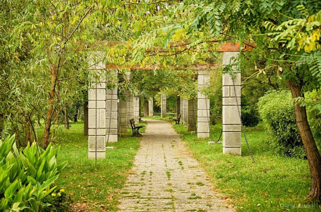 Alee pavată sub o pergolă cu stâlpi și vegetație.
