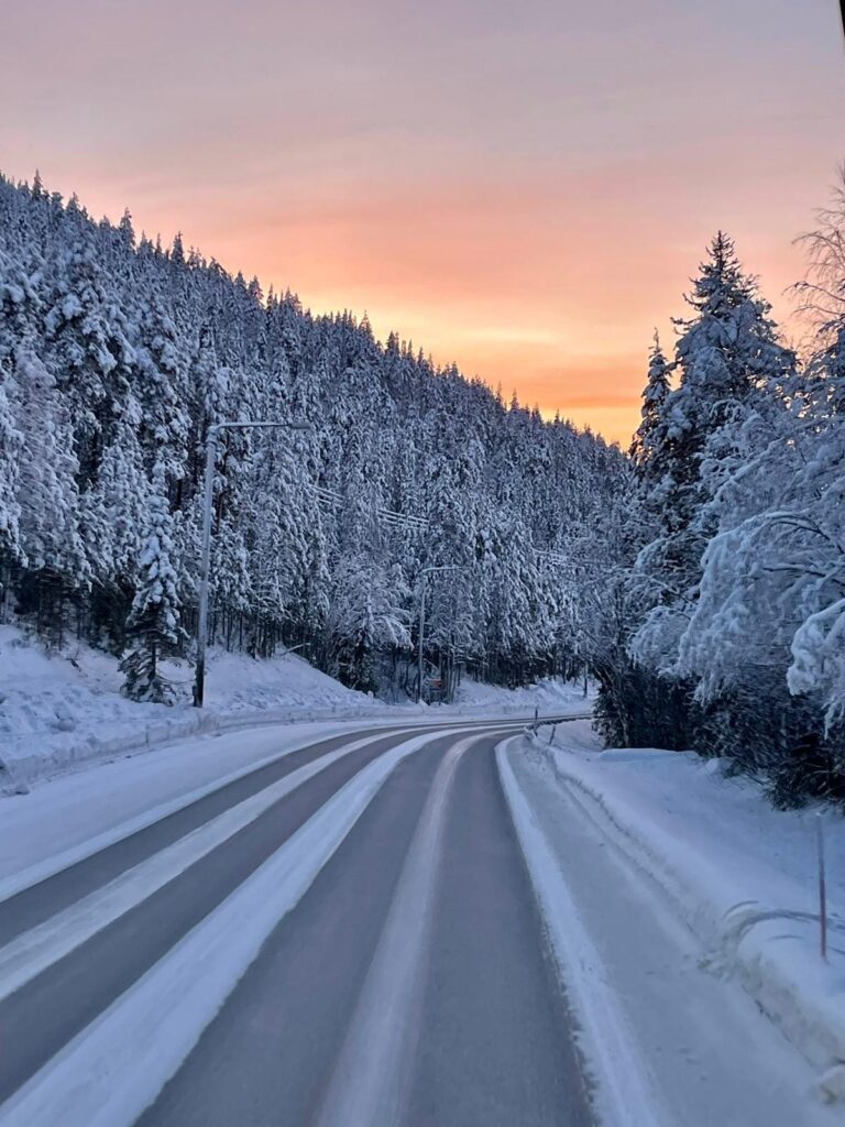 Drum cu urme pe zăpadă, printre brazi la apus