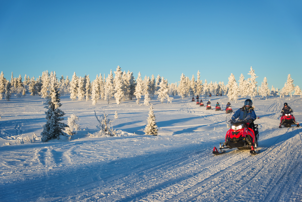 Persoane pe snowmobile, lângă arbori acoperiți de zăpadă