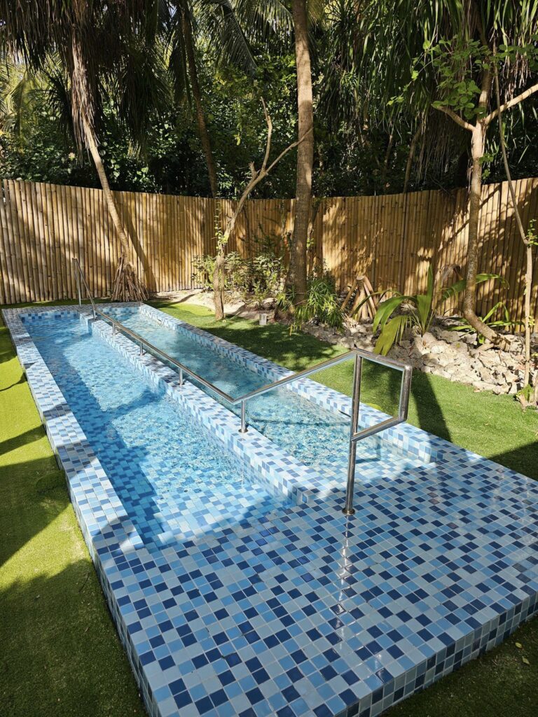 Piscină îngustă într-o curte împrejmuită cu gard din lemn.