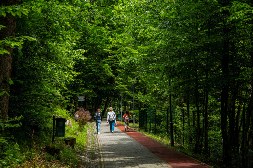 Vizitatori pe o alee din lemn prin pădure