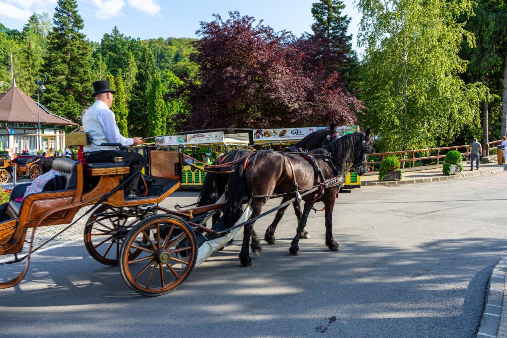 Căruță trasă de cai pe o stradă din Sovata