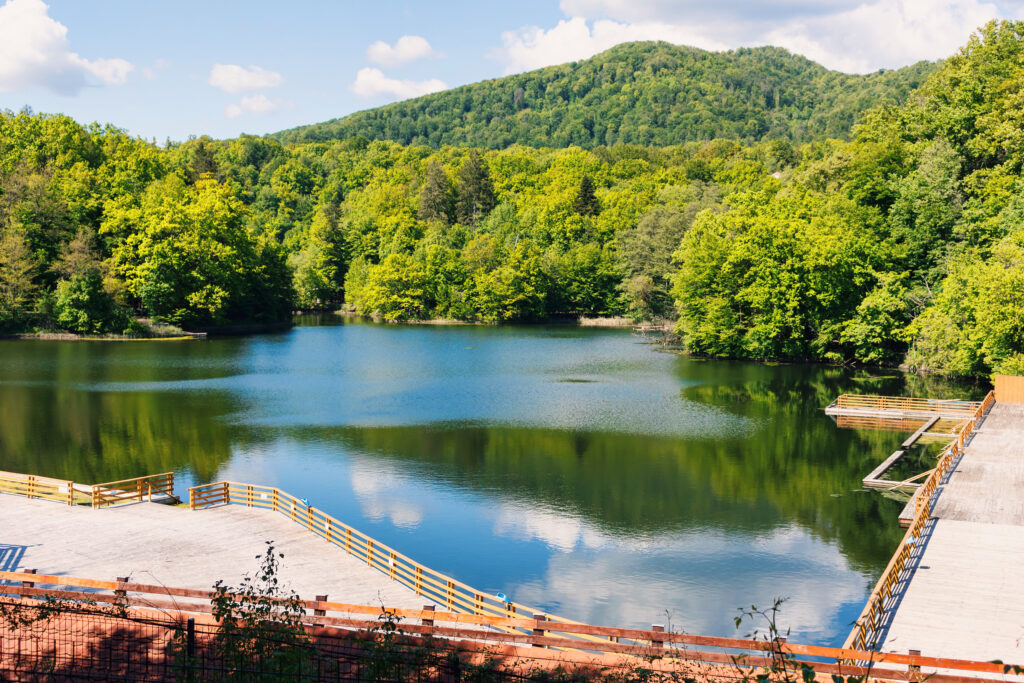 Lac înconjurat de arbori, lângă o promenadă