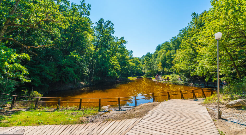 Promenadă din lemn pe malul unui lac