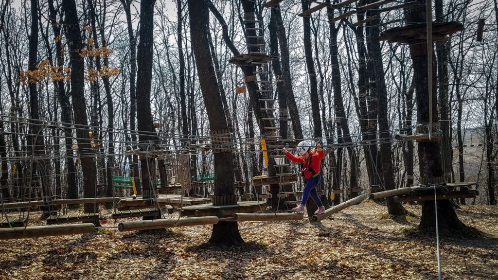 Trasee cu platforme și frânghii între copaci, într-o pădure fără frunze.