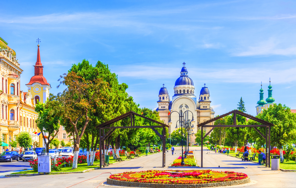 Piață cu flori și clădiri istorice în Târgu Mureș
