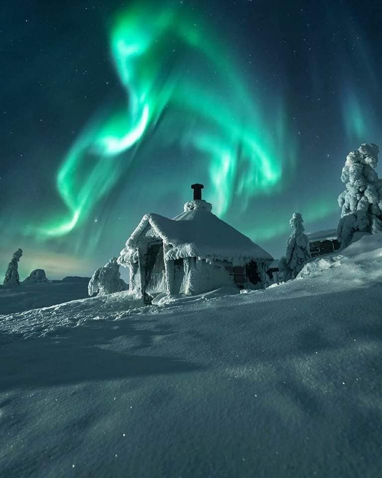 Auroră verde pe cer, deasupra arborilor înzăpeziți