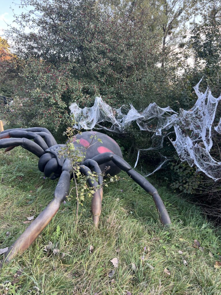 Sculptură de păianjen lângă rădăcini și vegetație