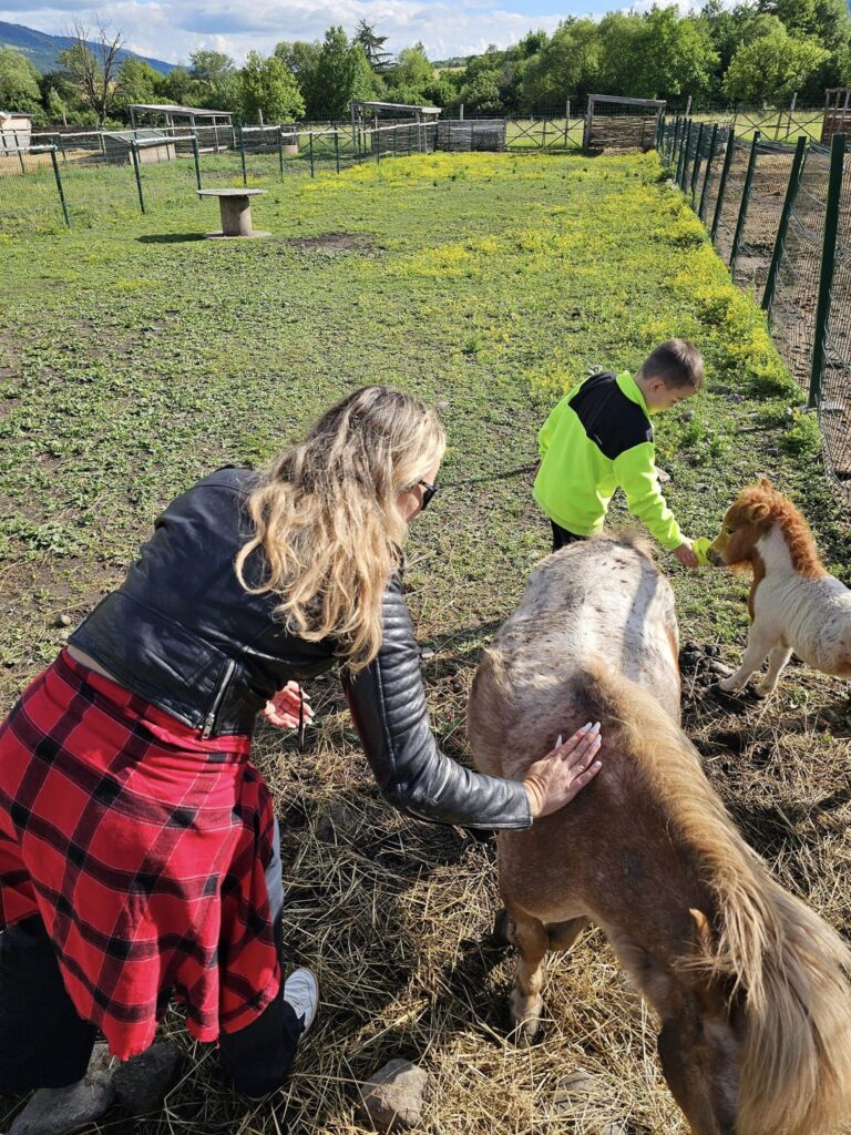 Adulți și copii atingând un animal într-un țarc