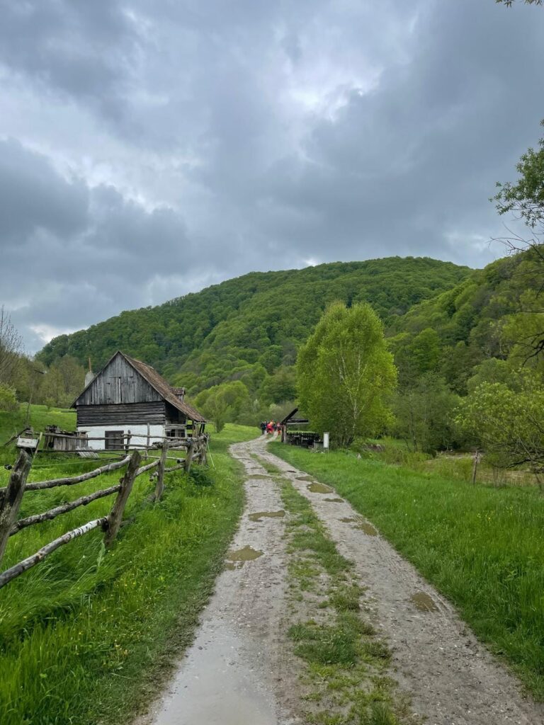 Drum între dealuri verzi, sub cerul înnorat