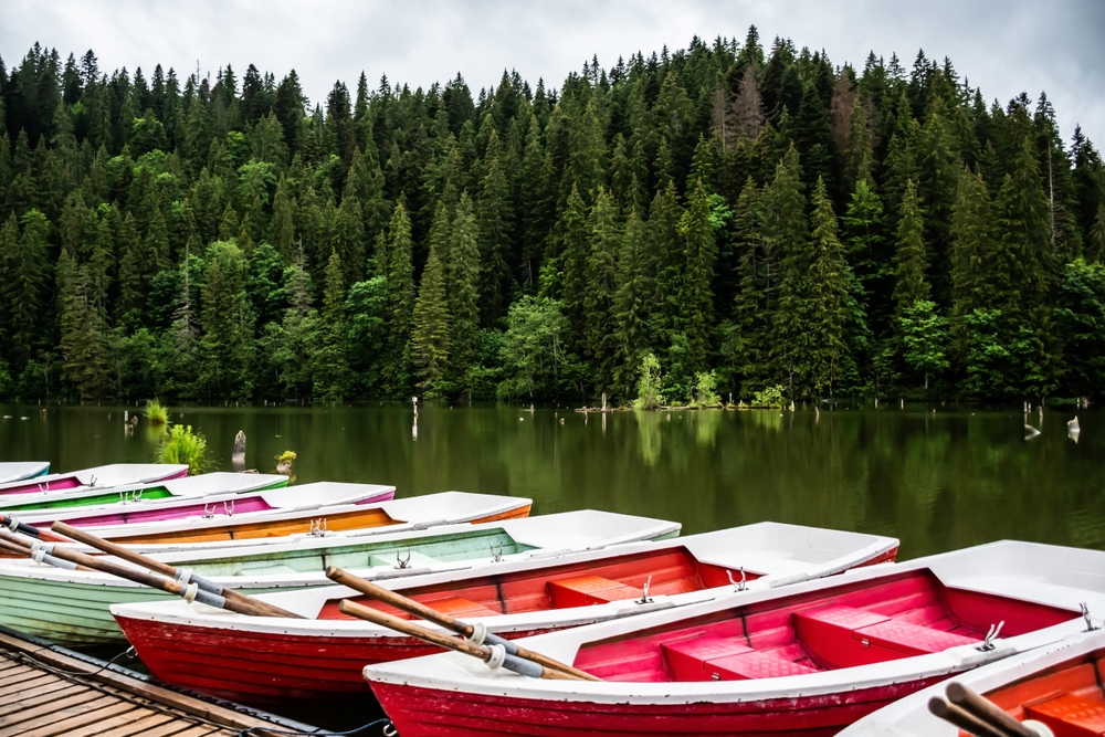 Bărci roșii și albe lângă un lac împădurit