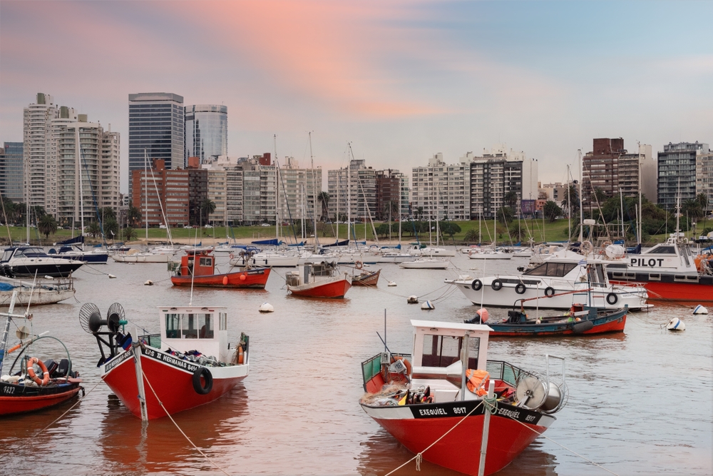 Ambarcațiuni într-un port, cu oraș în fundal