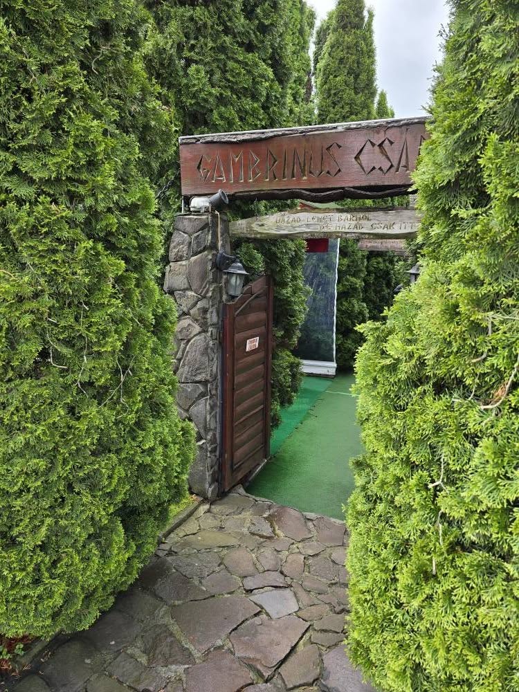 Intrare într-o grădină, între garduri vii și arbori