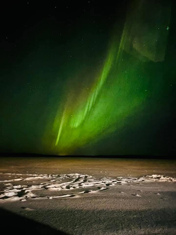 Auroră verde și stele, deasupra unei pajiști
