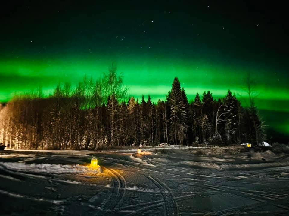 Auroră verde deasupra pădurii, cu lumină în prim-plan
