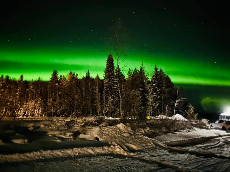 Auroră verde deasupra pădurii, cu foc în prim-plan