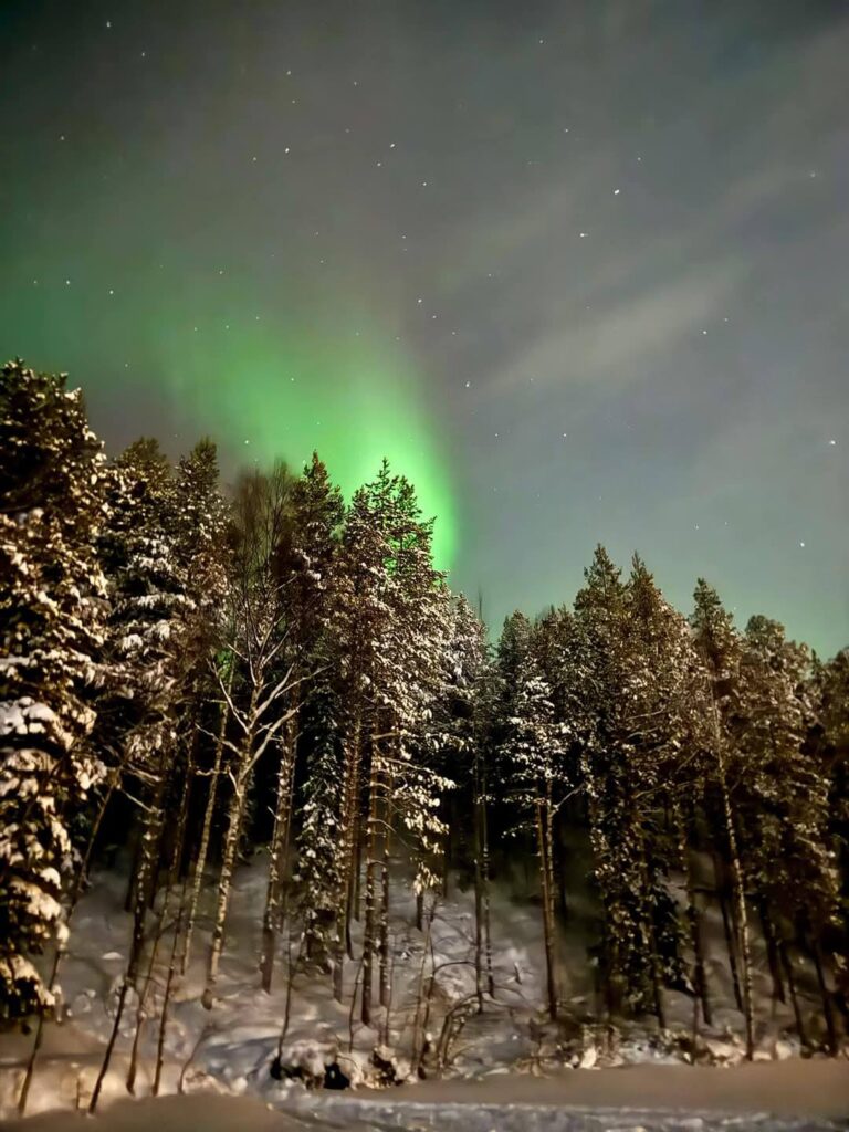 Auroră verde deasupra unei păduri înzăpezite
