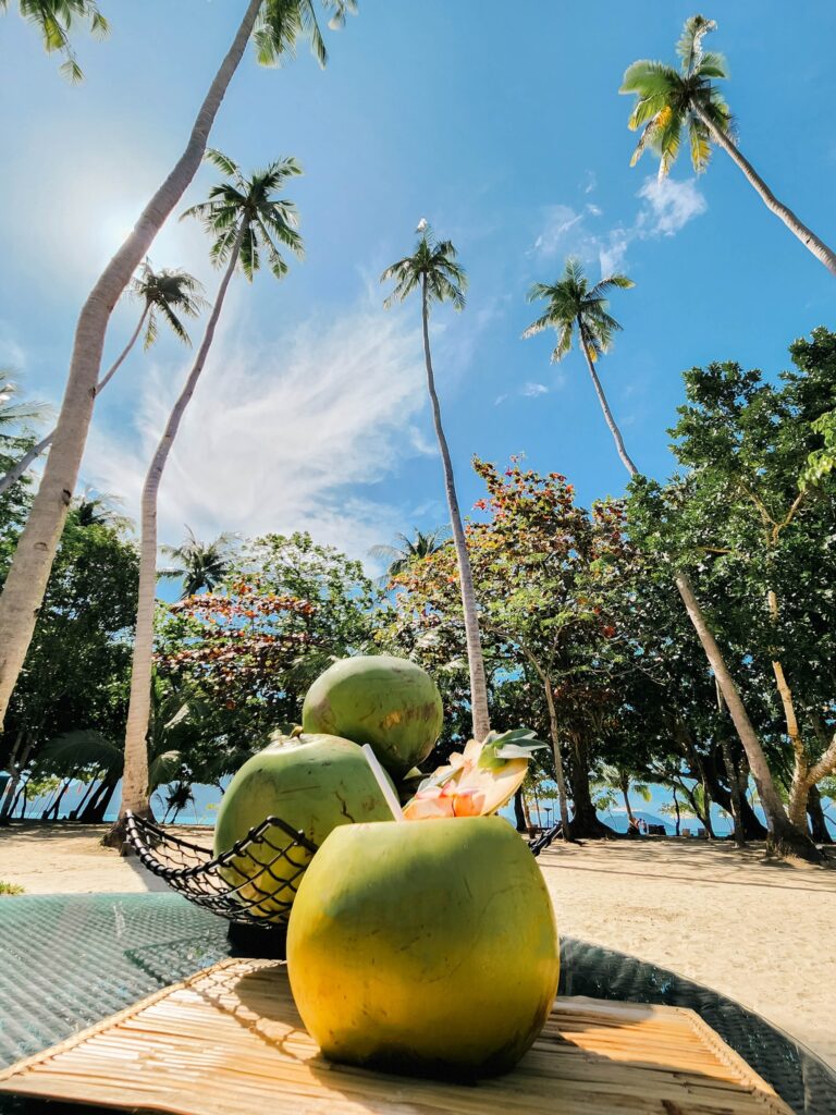 Nuci de cocos și palmieri, lângă o plajă