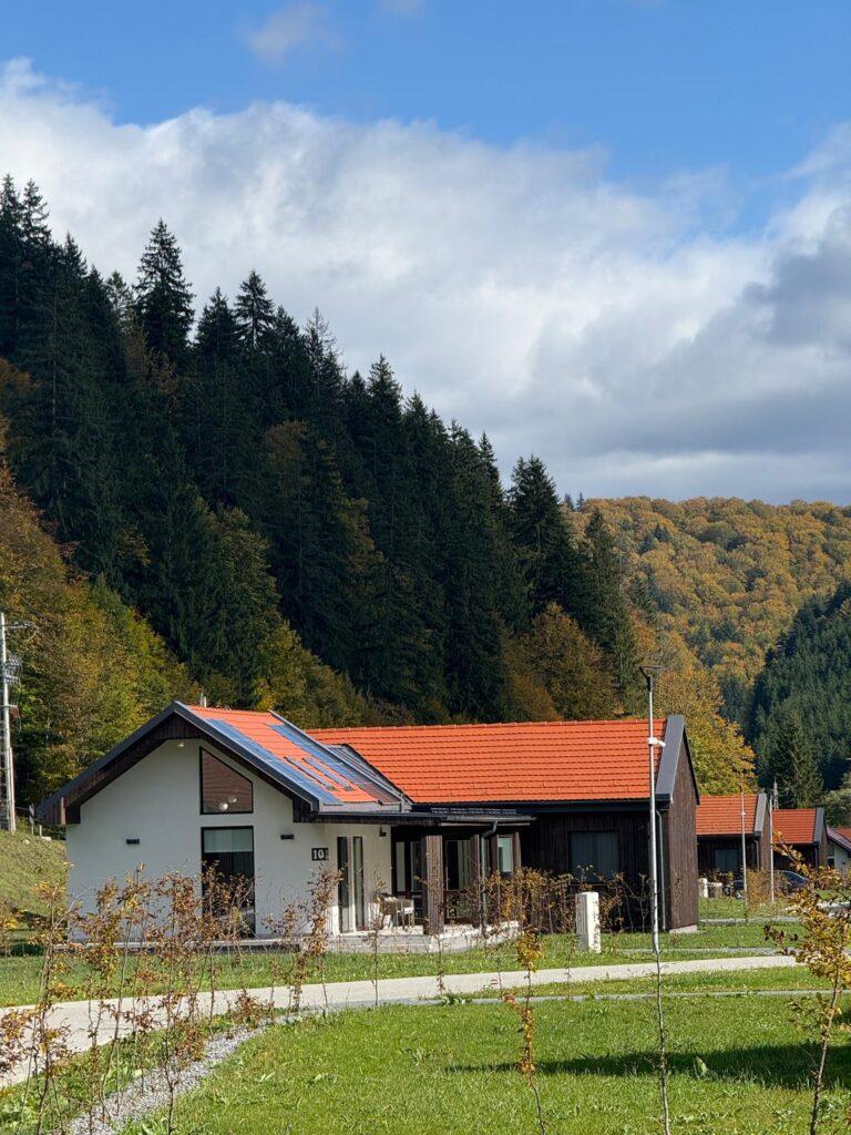 Căsuță cu acoperiș înclinat, la marginea pădurii