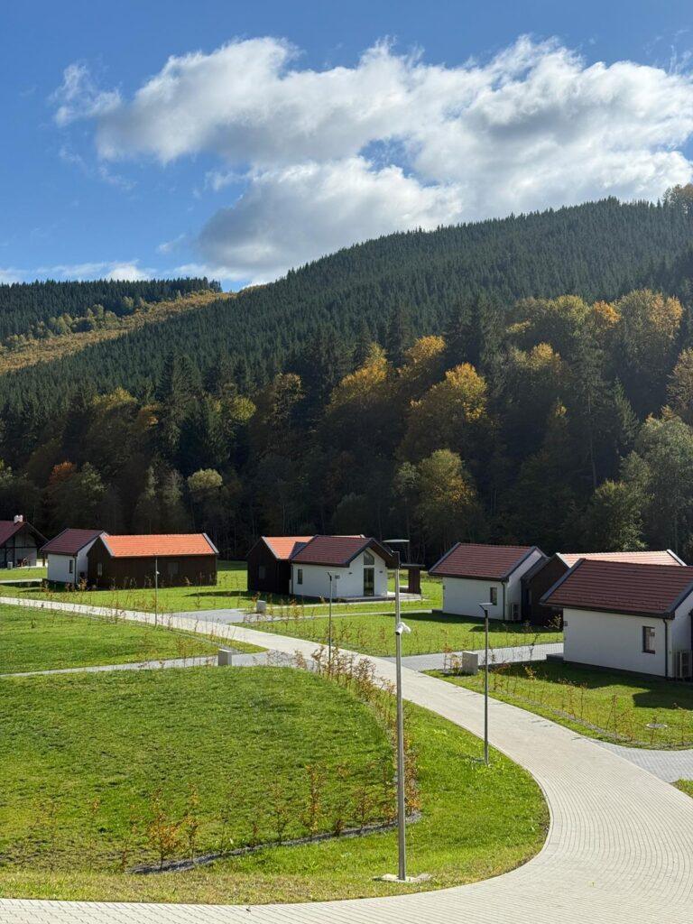 Complex de cabane din lemn într-o vale împădurită