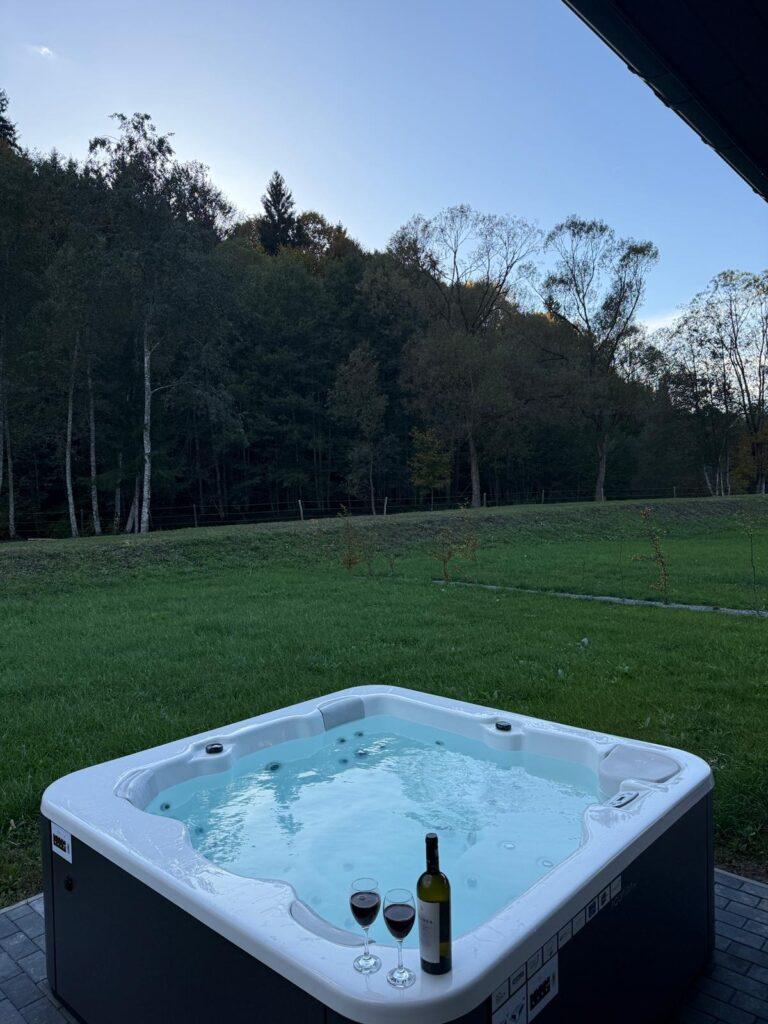 Bazin exterior într-o grădină, lângă pădure