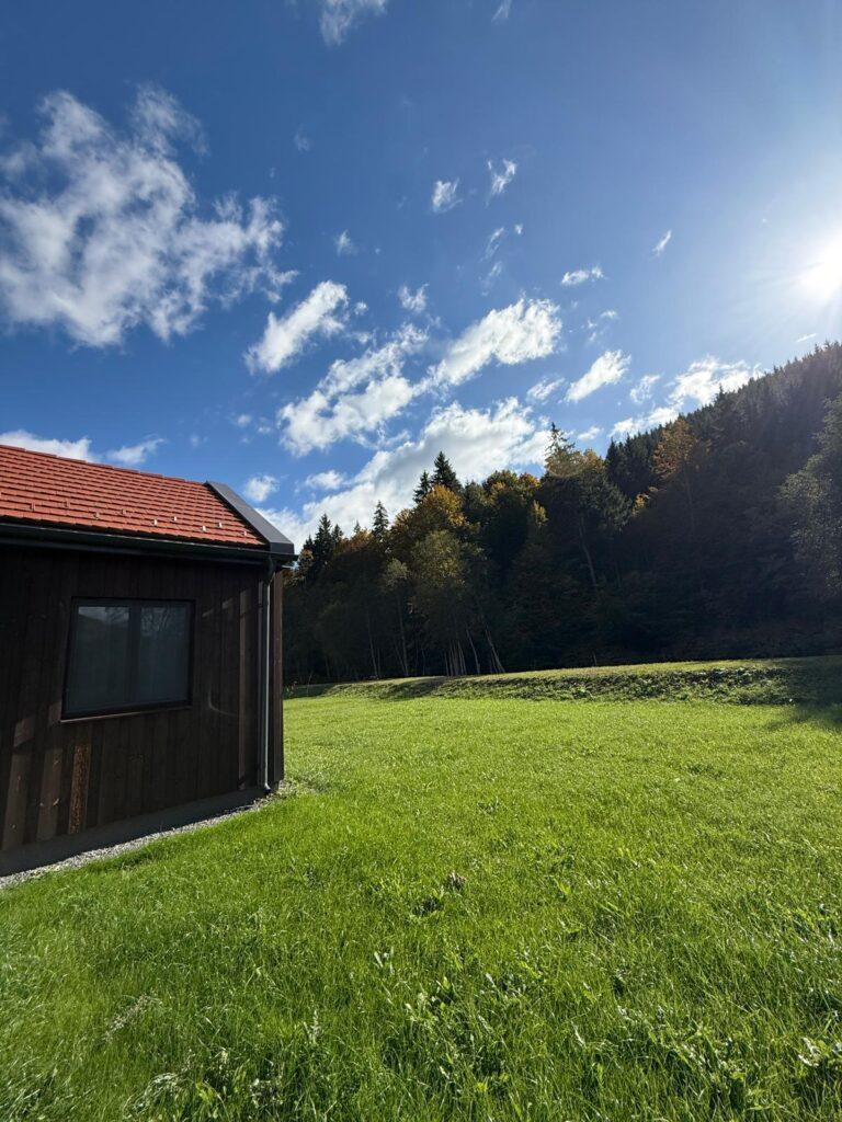 Pajiște întinsă lângă o cabană și pădure