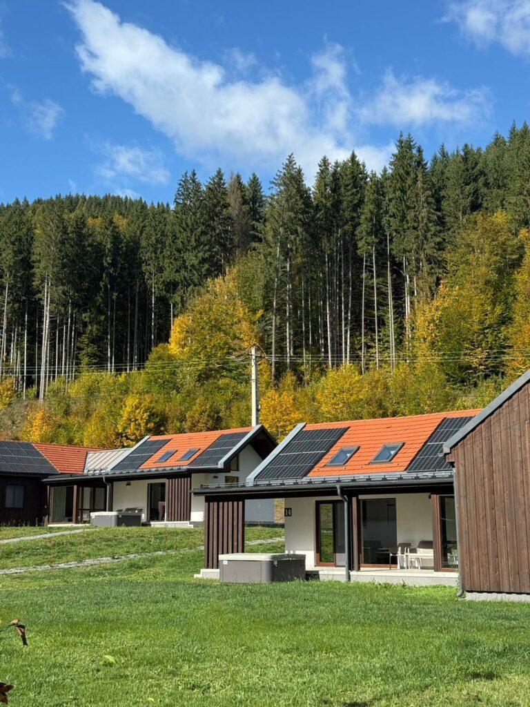 Șir de cabane cu acoperișuri roșii, lângă pădure