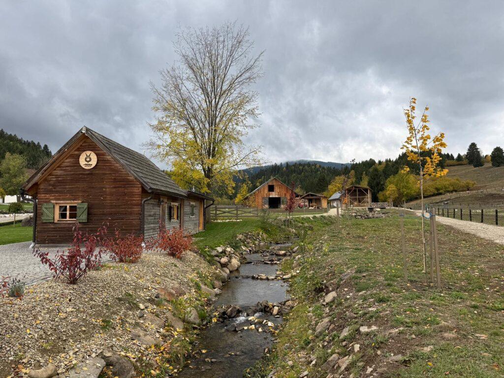 Casă de lemn lângă arbori și o biserică